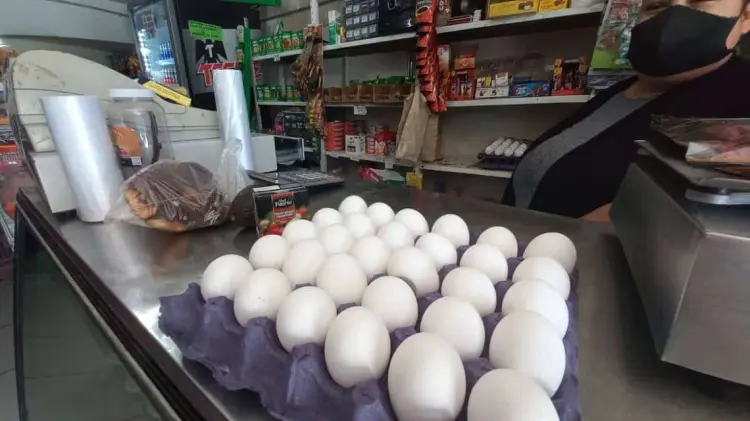 Con un promedio de 43 pesos por kilogramos en Centrales de Abasto. (Especial/EXPRESO)