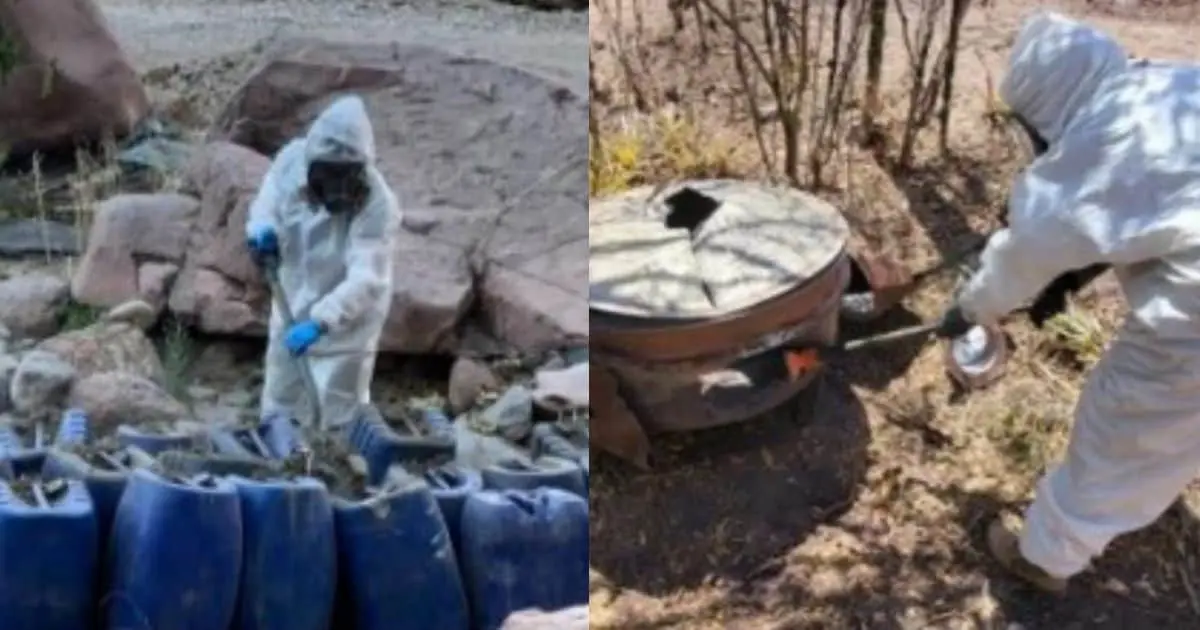 Localizan 9 nuevos laboratorios clandestinos en Culiacán y Cosalá