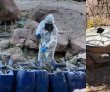 Localizan 9 nuevos laboratorios clandestinos en Culiacán y Cosalá