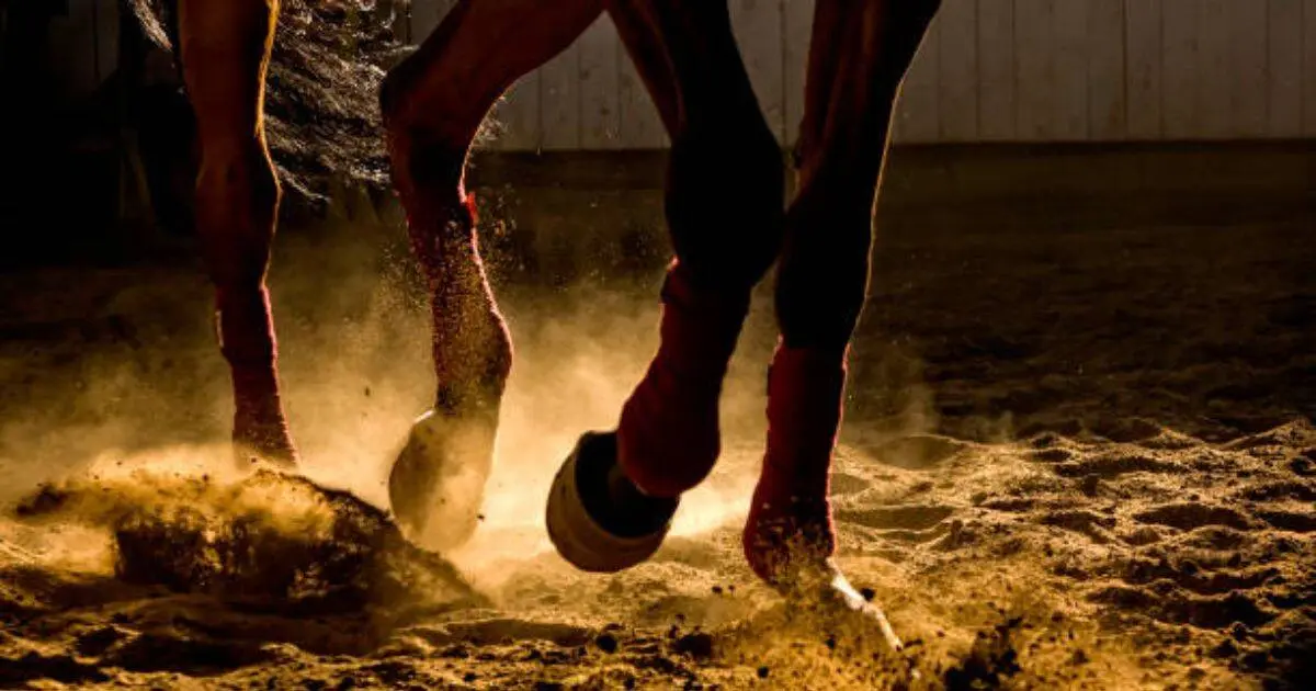 Joven pierde la vida tras sufrir accidente con un caballo en Nogales