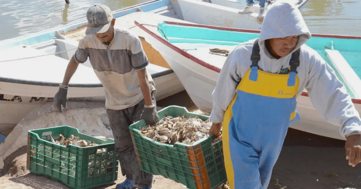 Sonora mantiene el primer lugar en pesca y acuacultura en México