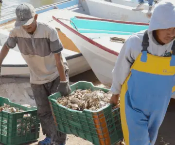 Sonora mantiene el primer lugar en pesca y acuacultura en México