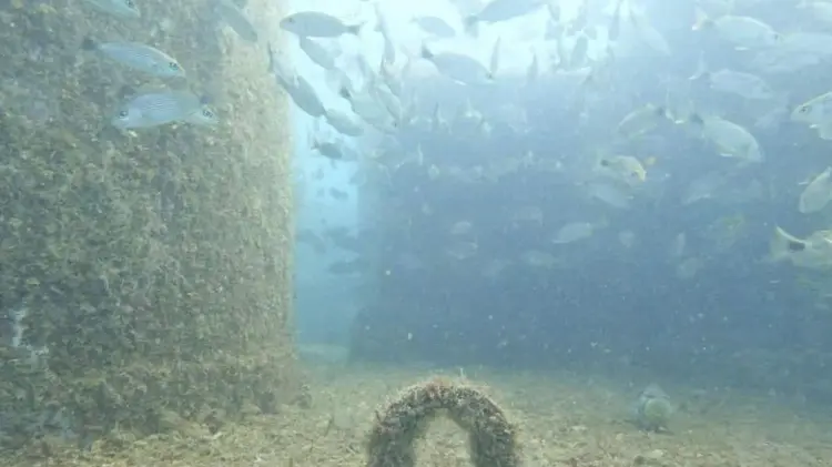 Actualmente se ha realizado el hundimiento del buque Santos y el buque Suchiate. (Foto: Cortesía)
