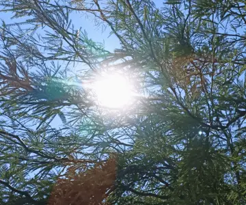 Persisten altas temperaturas en Hermosillo; prevén más de 35°C