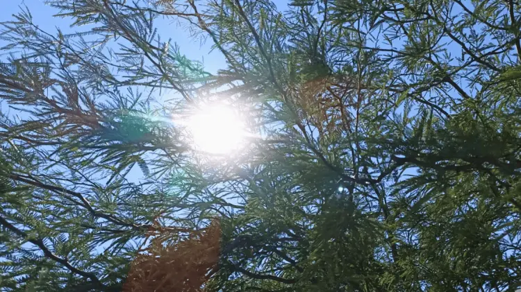 Hermosillo afrontará más de 35°C para esta semana. (Foto: Ramón Munguía/EXPRESO)