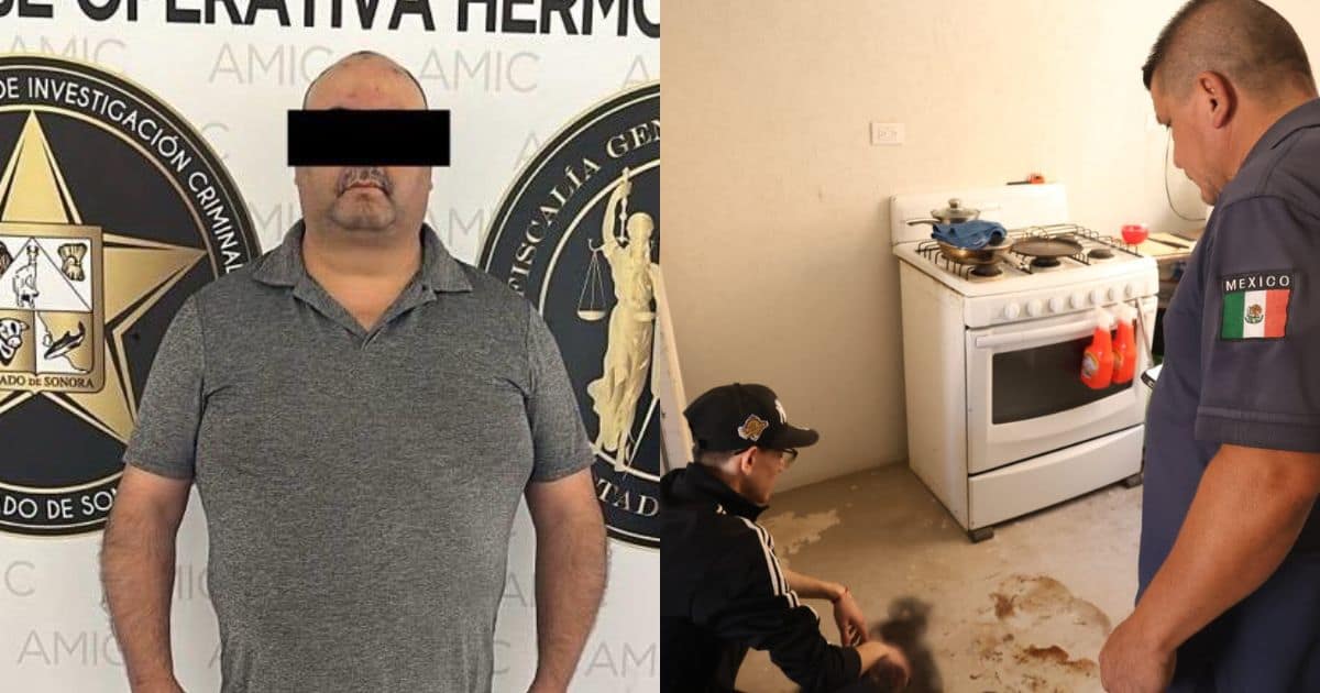 Detienen a Jorge Francisco N por matar a cuatro gatos con comida envenenada
