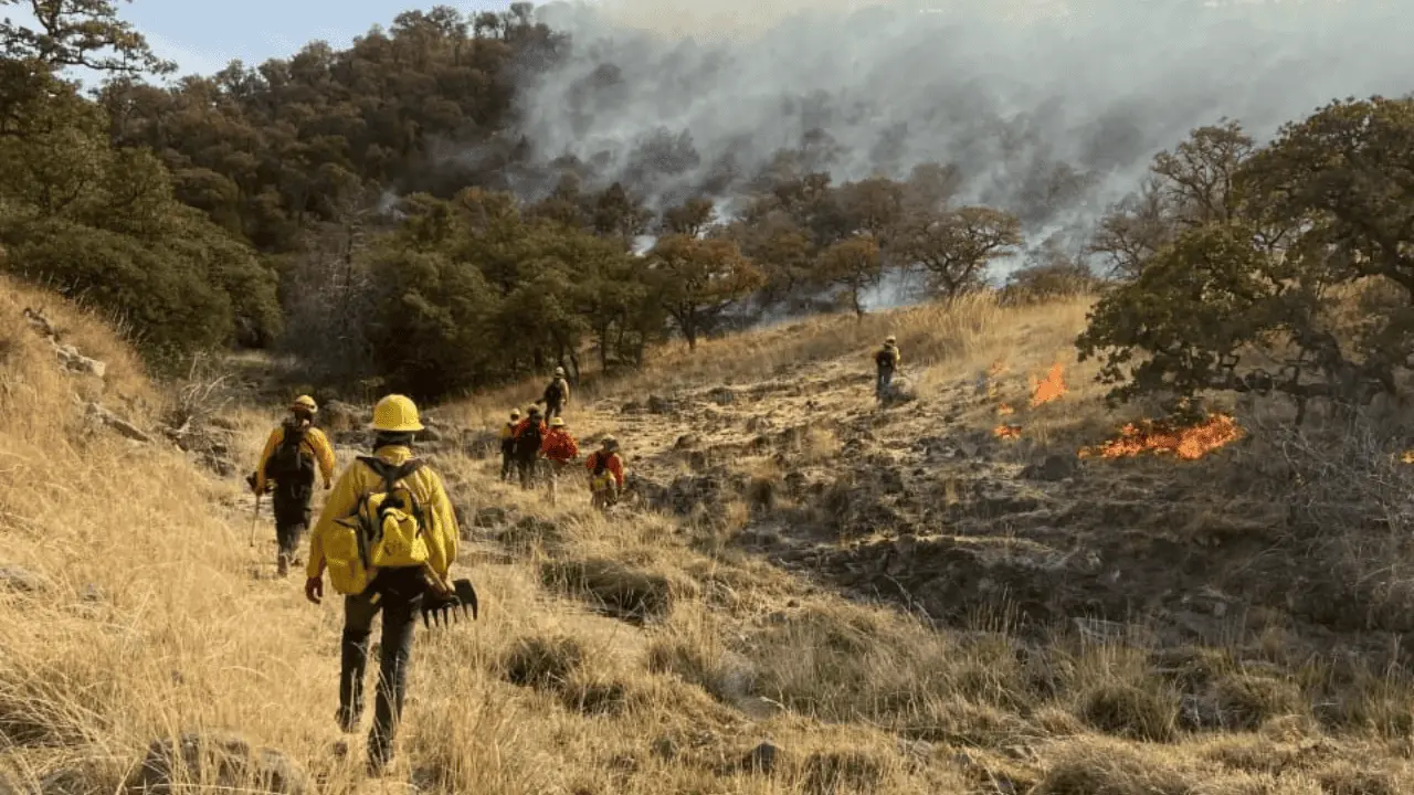 Autoridades combaten incendio forestal en Yécora; avanzan en su control