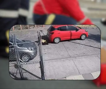 Niña de 5 años es atropellada y abandonada; responsable aprendía a manejar