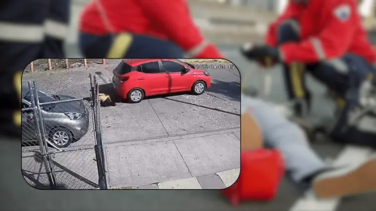 Los hechos ocurrieron el martes en Morelia, Michoacán. (Foto: Especial/EXPRESO)