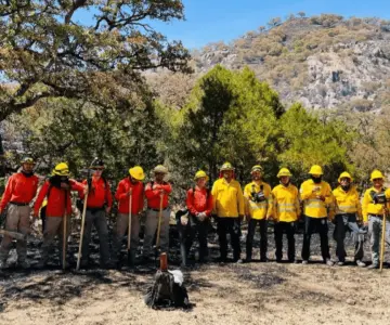 Controlan incendio forestal en Yécora; reportan 729 hectáreas afectadas