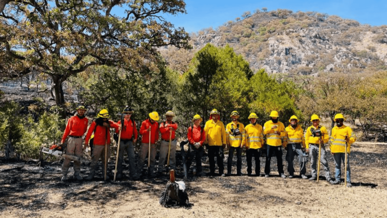 Controlan incendio forestal en Yécora; reportan 729 hectáreas afectadas