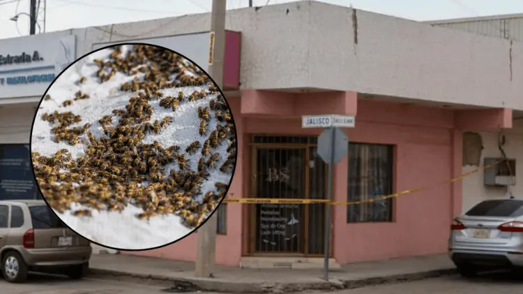 Los hechos ocurrieron el miércoles por la tarde. (Foto: Cristian Ruiz/EXPRESO)