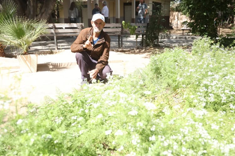 La tuberculosis existe y es curable: el albergue San Vicente cumple 86 años