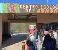 Prevén apertura del acuario del Centro Ecológico para diciembre 2025