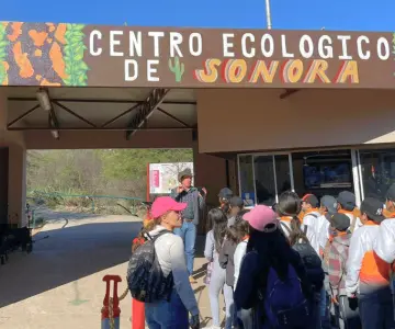 Anuncian reapertura del acuario en el Centro Ecológico de Sonora