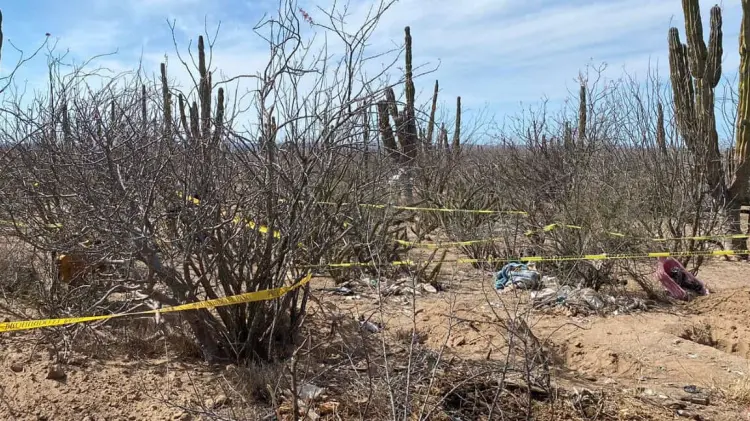 Localizan 326 fosas en Baja California, según representante de colectivos. (Ilustrativa/EXPRESO)