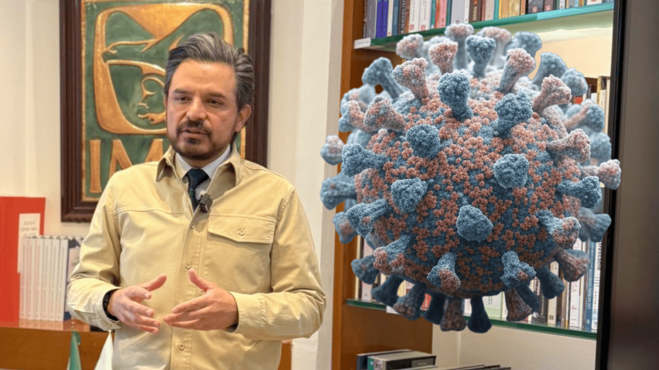 No hay alerta por influenza aviar en México, confirma Zoé Robledo