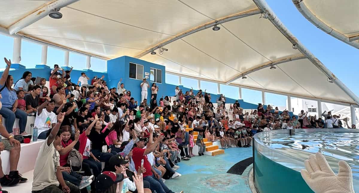 San Carlos y Guaymas tendrán actividades como parte de aniversario del SAAS