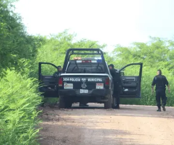 Continúa la ola de violencia en Sinaloa: asesinan a 7 personas en 24 horas
