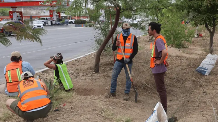 Buscan replicar acciones de restauración ecológica (Foto: Jesús Ballesteros/EXPRESO)