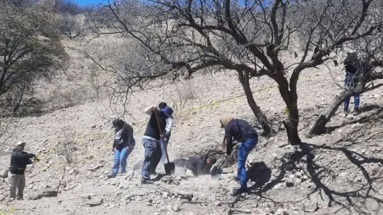Grupos de búsqueda localizan restos óseos en Sonora. (Foto: Especial / EXPRESO)