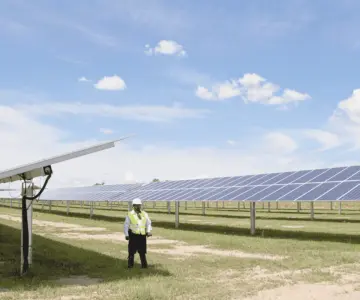 Tercera etapa del parque solar en Peñasco será licitada en agosto: CFE