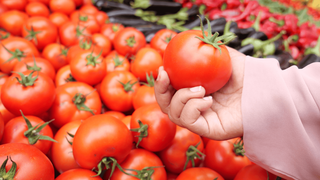 ¿Qué es el dumping? Práctica que utilizó EU para sancionar el tomate mexicano