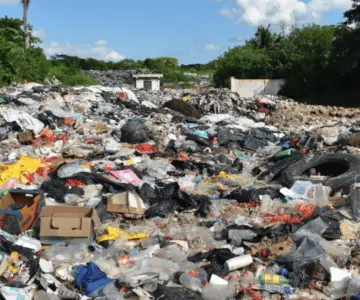 Hallan feto humano en basurero municipal de Mazatlán