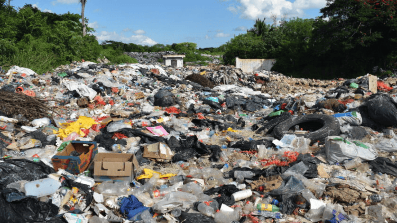 Hallan feto humano en basurero municipal de Mazatlán