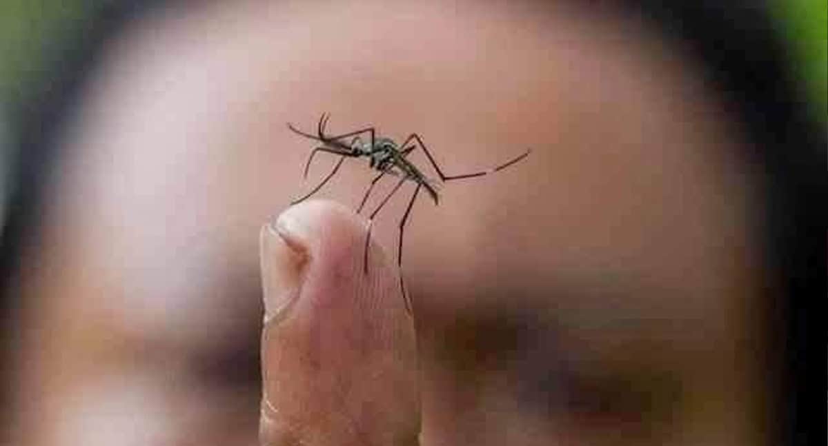 Implementan acciones contra el dengue en colonias de Nogales, Sonora