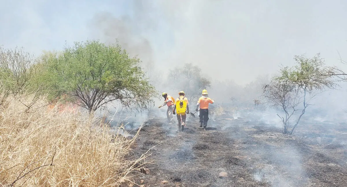 Alerta CEPC sobre incendios forestales