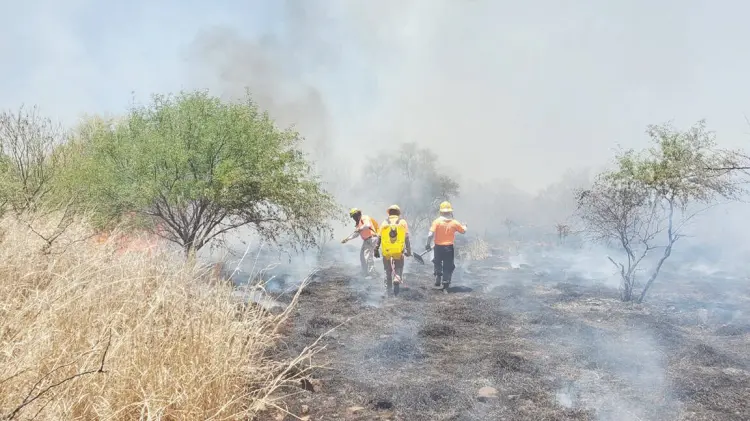 Advierte CEPC por incendios forestales. (Foto: Especial / EXPRESO)