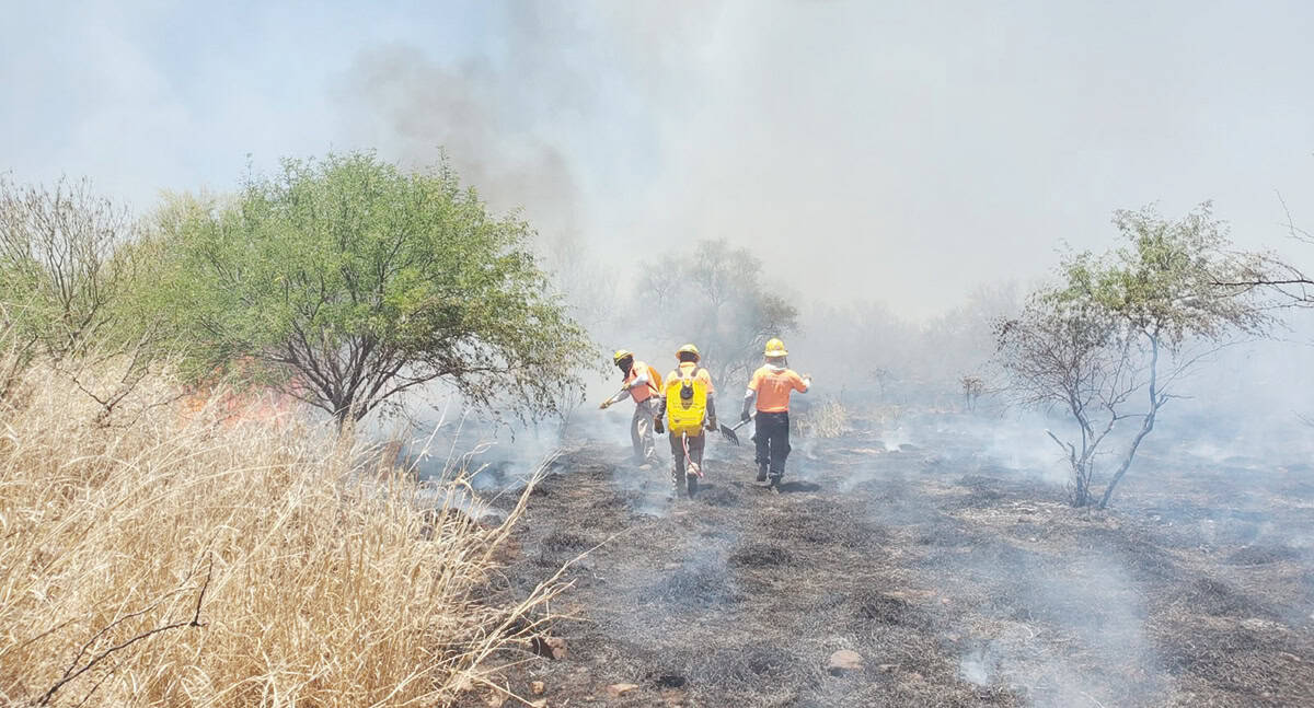Alerta CEPC sobre incendios forestales