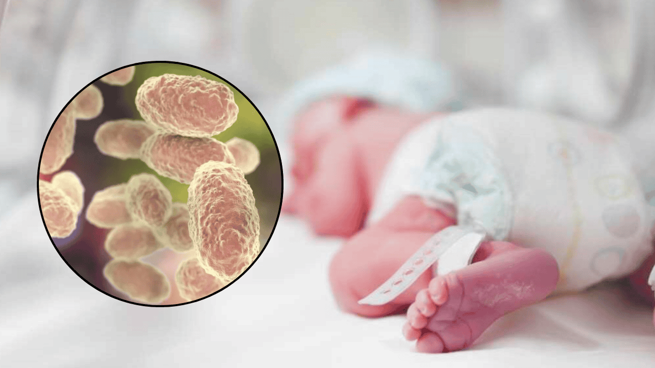 Ya han muerto 45 bebés por tos ferina en México durante 2025