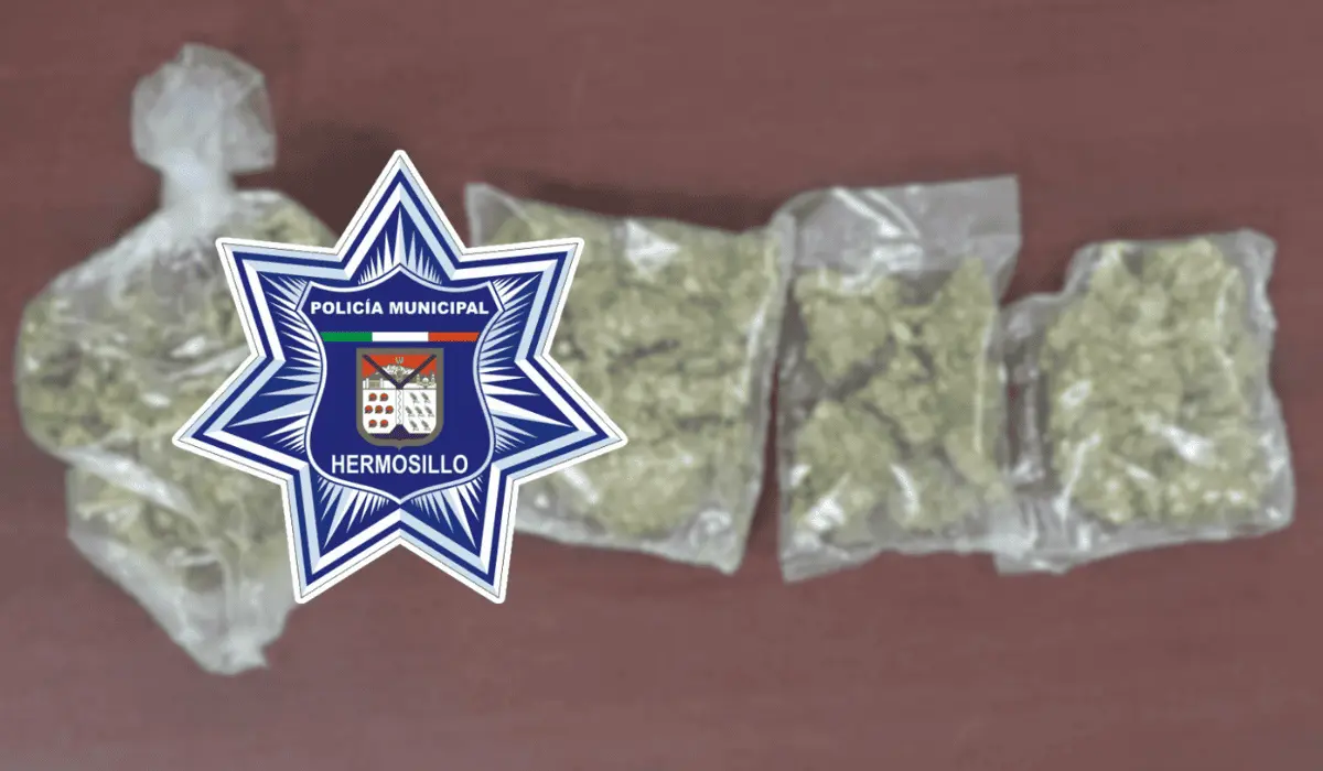 Dos jóvenes son detenidos en posesión de mariguana en Lomas de Madrid