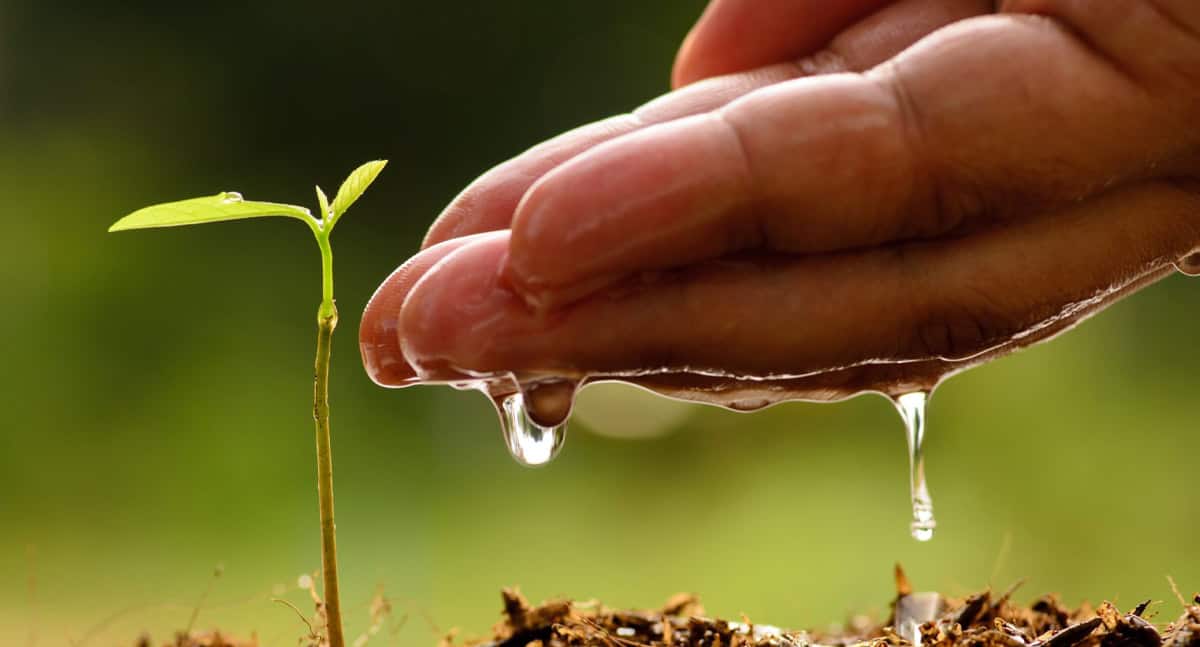 Foro Nacional urge soluciones para preservar el agua