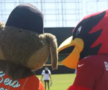 Se realiza exitosamente campamento de fútbol americano Kids Camp 2025