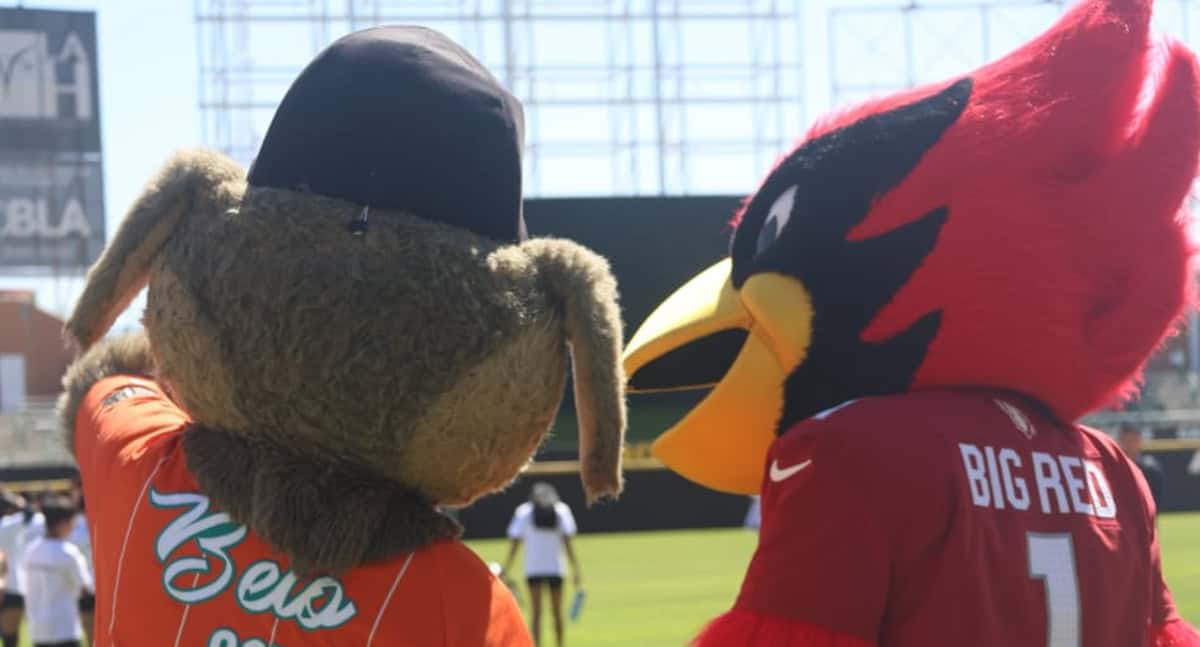 Se realiza exitosamente campamento de fútbol americano Kids Camp 2025