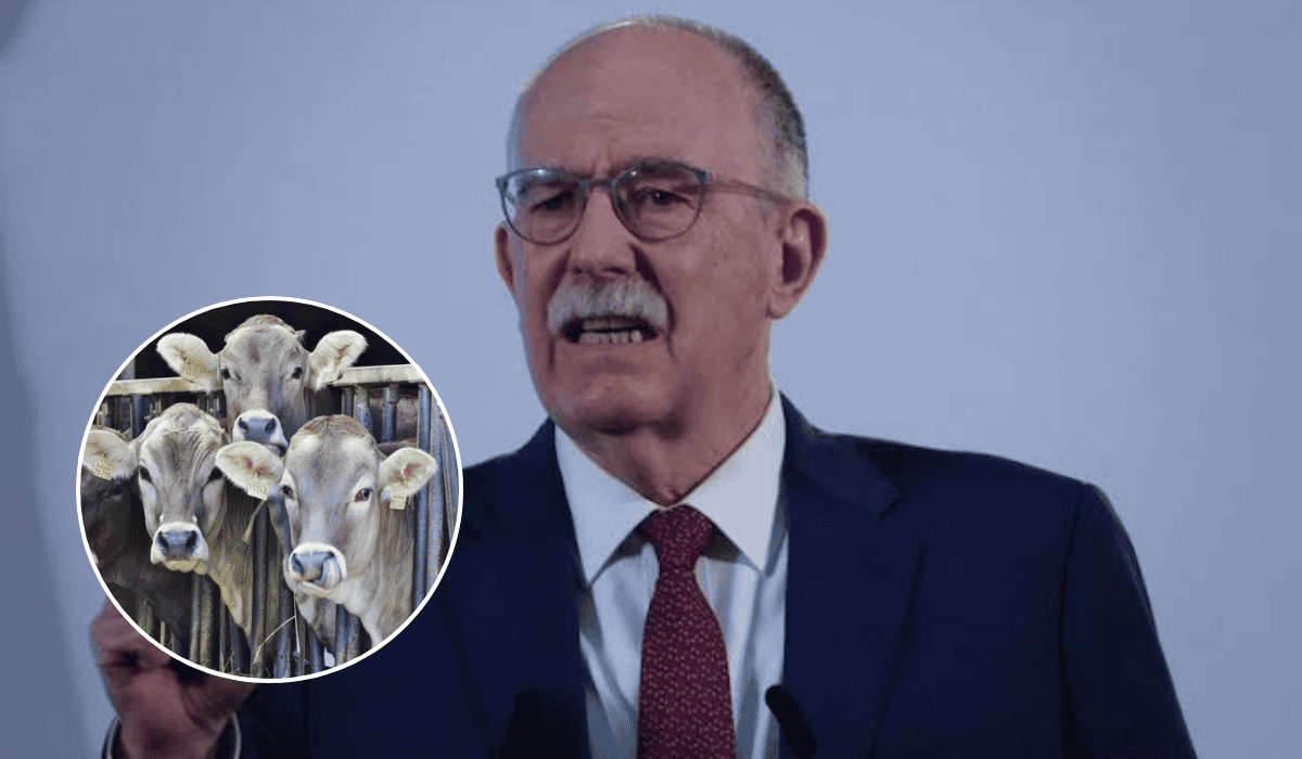Responde titular de Sader a EU sobre freno a importaciones de ganado