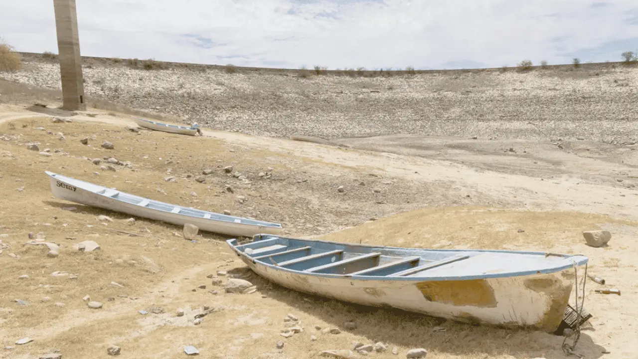 La sequía golpea duro a la agricultura del norte de México