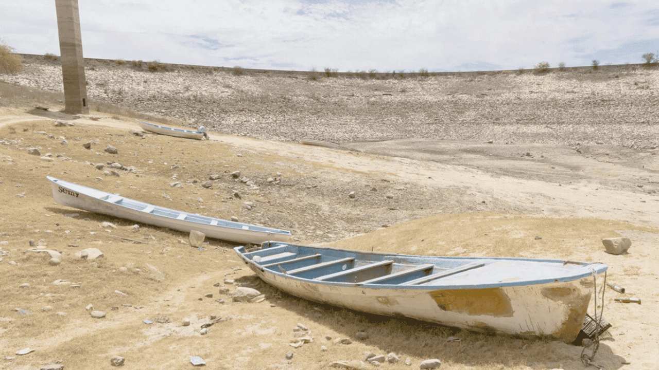 La sequía golpea duro a la agricultura del norte de México