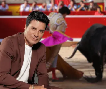 PETA pide a Chayanne cambiar el nombre de Torero en respeto a los toros