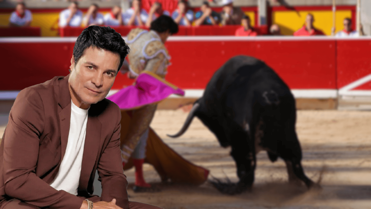 PETA pide a Chayanne cambiar el nombre de Torero en respeto a los toros