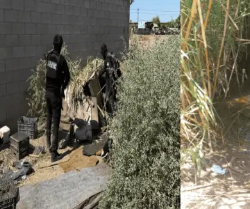 Desmantela Policía Estatal punto de vigilancia ilícito en SLRC