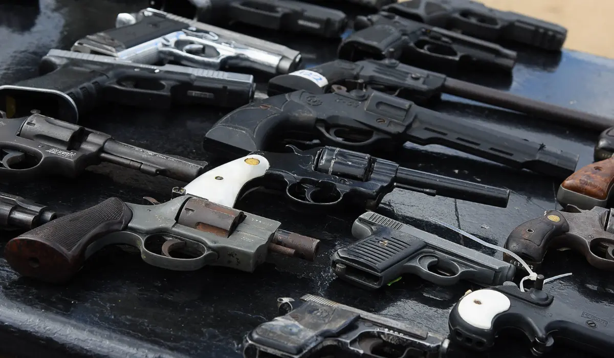 Reforma a Ley de Armas pasa en fast track en el Senado 