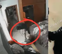 Detienen a hombre que golpeó y robó a señora de 77 años en su casa