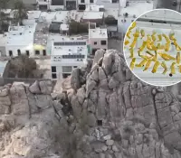 Localizan narcótico en Cerro de la Campana