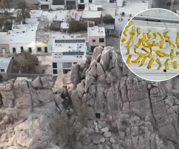 Localizan narcótico en Cerro de la Campana
