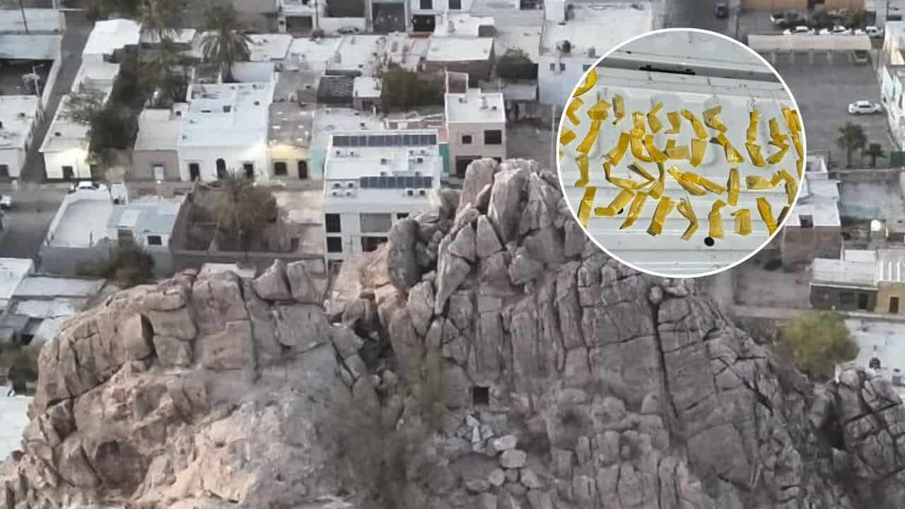 Localizan narcótico en Cerro de la Campana