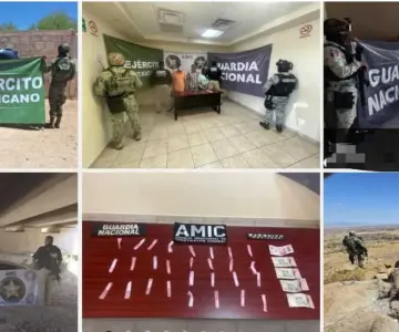 Incautan drogas, armas e inmuebles tras operativos a nivel estatal